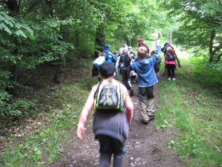 2AZalesnimistrasidylky (9)